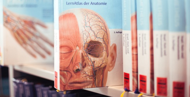 Bücher Anatomie