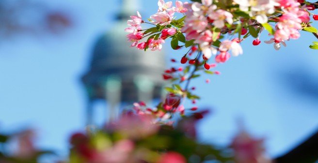 Frühling in Hamburg