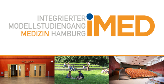 iMED Modellstudiengang