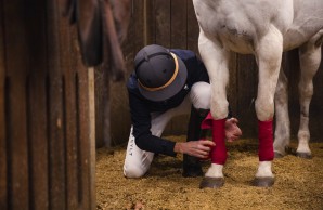 Parkinson - Polospieler Thomas Winter macht das Pferd für das Training fertig