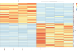 Heatmap 