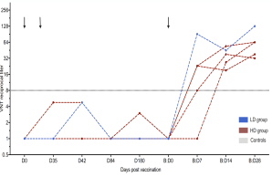 Increase in MERS-CoV neutralizing antibodies after booster vaccination.