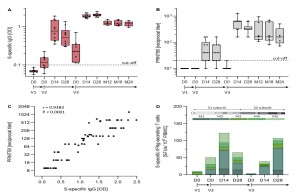 Antibody isotypes und subclasses after vaccination