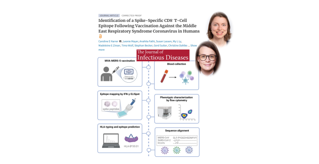 Identification of a spike-specific CD8+ T cell epitope following vaccination against the Middle East respiratory syndrome coronavirus in humans.