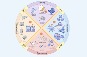 CRC 1648 Research Areas