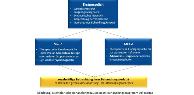 Adipositas-Programm