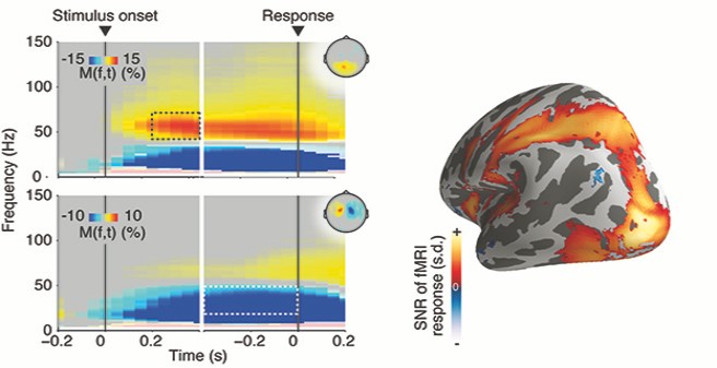 Research Group "Decision Neuroscience"