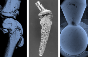 Bioengineering Beispiele