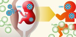 Kongenitale Cytomegalievirus-Infektion