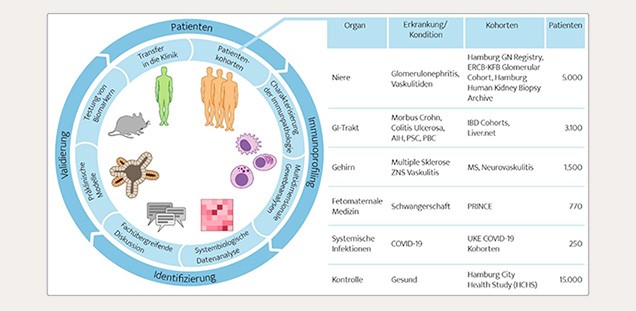 Schaubild des iPRIME-CS Discovery Catalyst