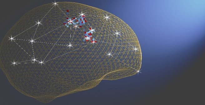 Neuronal networks at micro and macro scale