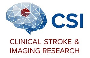 CSI Logo