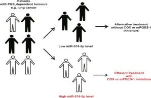 MiR-574-5p as a biomarker for stratification of PGE2-dependent tumors