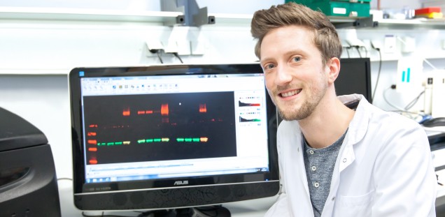 Analyse der Zellulären Signaltransduktion