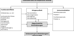 Abb. 1: Ein konzeptuelles Modell der hypothetischen Effekte von körperlichem Training auf die Gesundheit (nach White & Castellano, 2008).