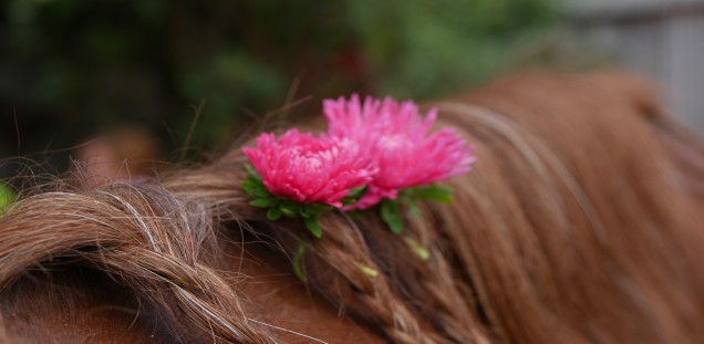  Blumen in der Mähne