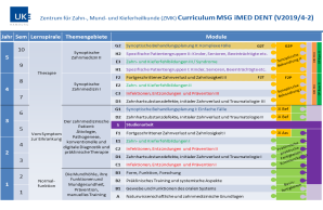 Curriculum iMED DENT